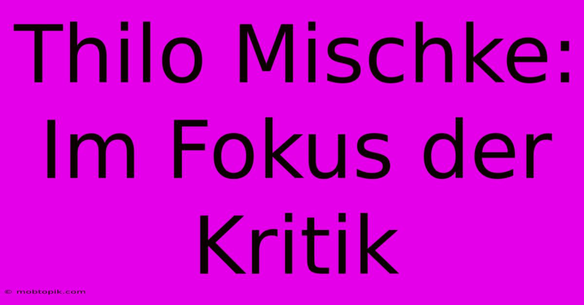 Thilo Mischke:  Im Fokus Der Kritik