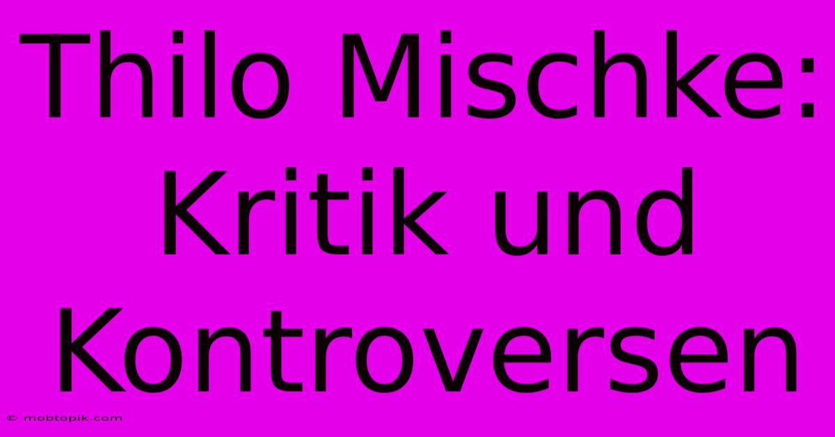 Thilo Mischke: Kritik Und Kontroversen