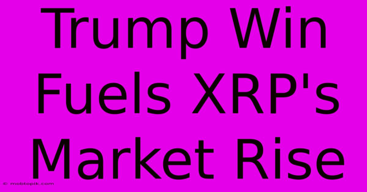 Trump Win Fuels XRP's Market Rise Trump Win Fuels XRP's Market Rise