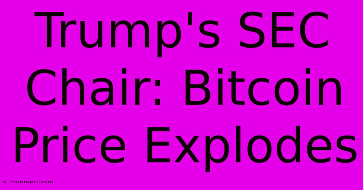 Trump's SEC Chair: Bitcoin Price Explodes Trump's SEC Chair: Bitcoin Price Explodes
