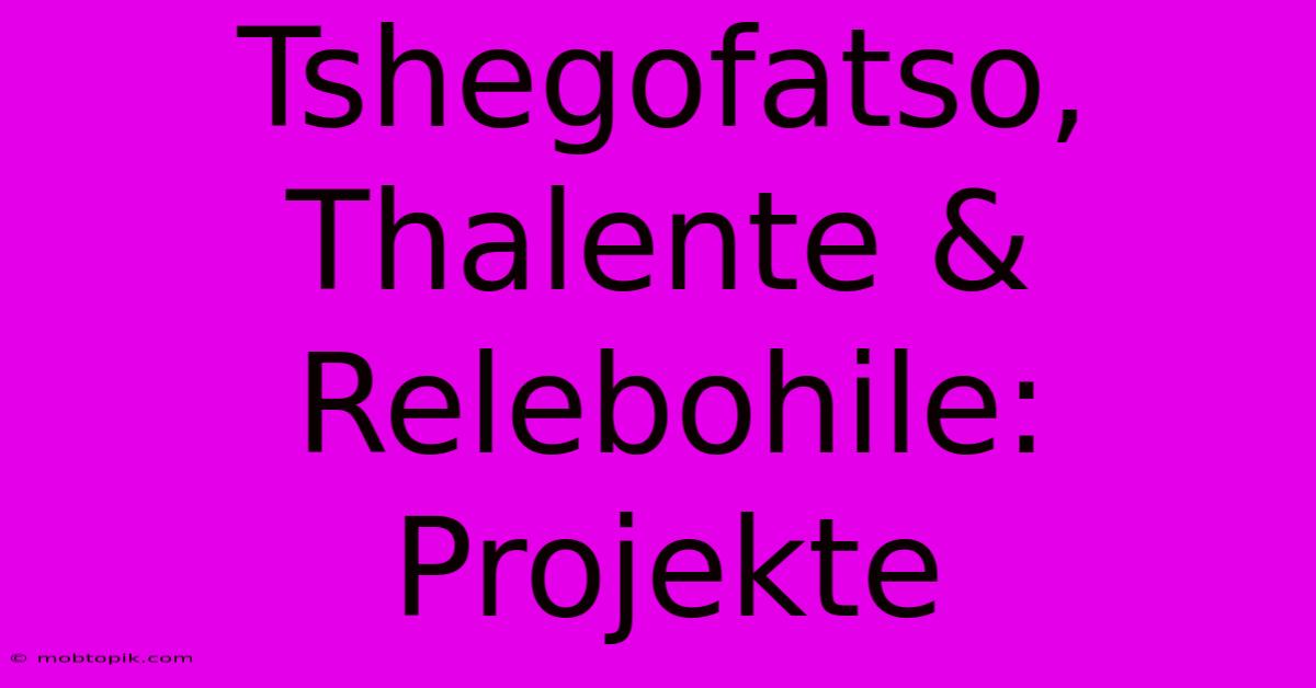 Tshegofatso, Thalente & Relebohile: Projekte