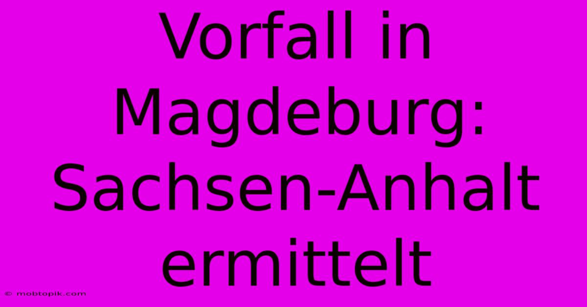 Vorfall In Magdeburg:  Sachsen-Anhalt Ermittelt