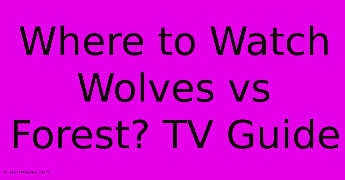 Where To Watch Wolves Vs Forest? TV Guide