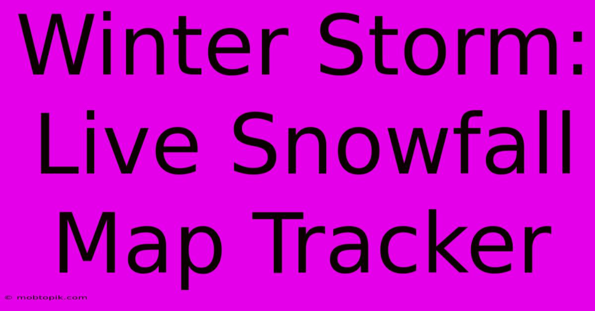 Winter Storm: Live Snowfall Map Tracker