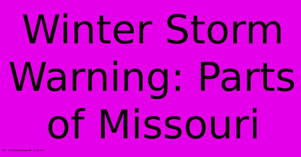 Winter Storm Warning: Parts Of Missouri