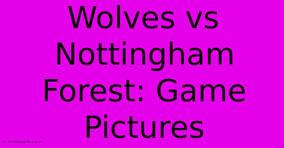 Wolves Vs Nottingham Forest: Game Pictures