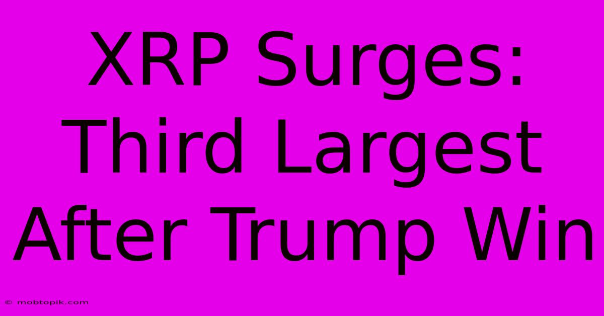 XRP Surges: Third Largest After Trump Win XRP Surges: Third Largest After Trump Win